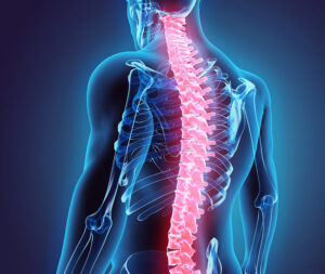 Osteoporozdan Korunmanın Yolları